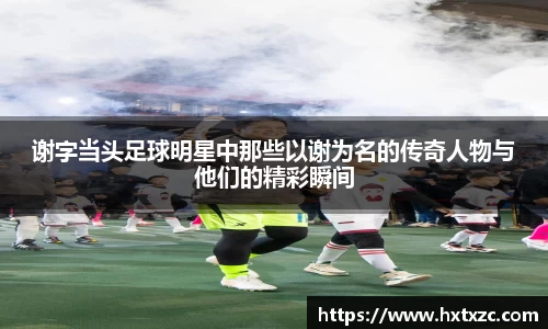 3003新葡的京集团