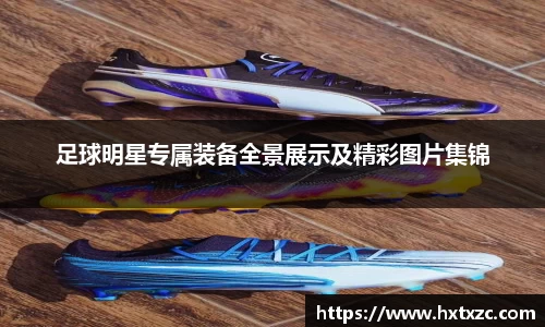 3003新葡的京集团网址