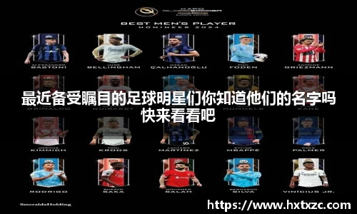 3003新葡的京集团